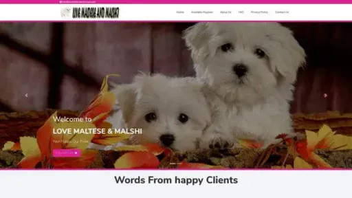 Screenshot of