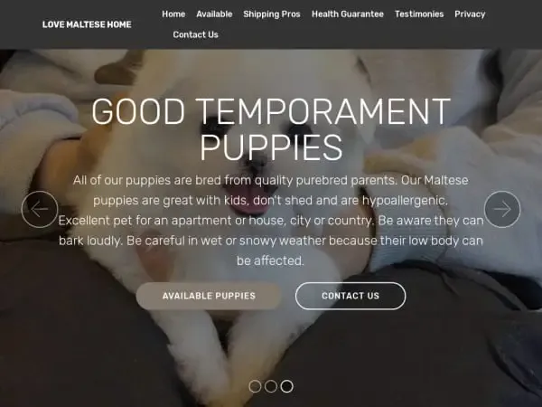 Screenshot of