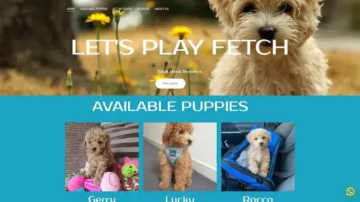 Screenshot of