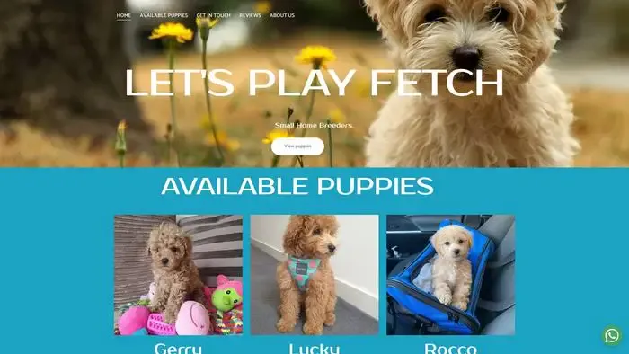 Screenshot of