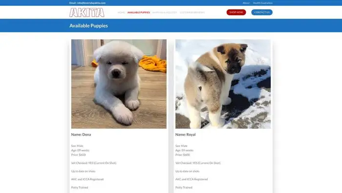 Screenshot of