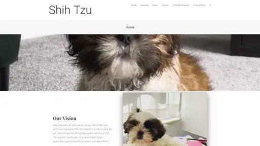Screenshot of