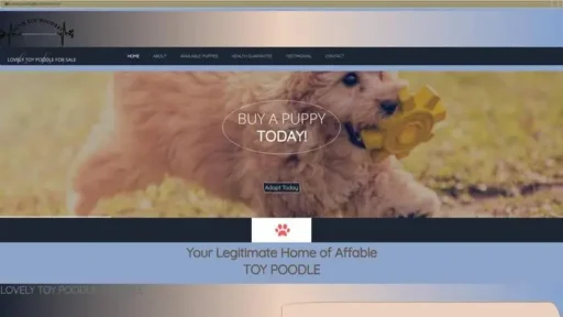 Screenshot of