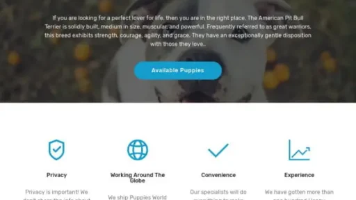 Screenshot of
