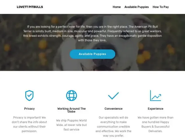 Screenshot of