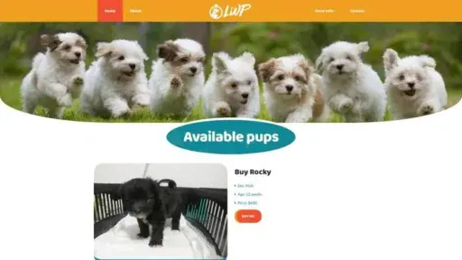 Screenshot of