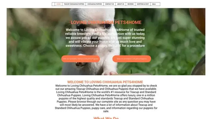 Screenshot of