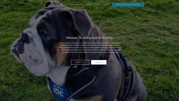 Screenshot of