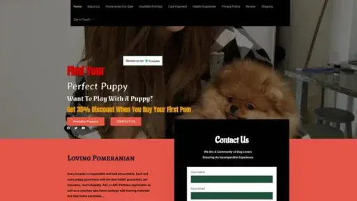 Screenshot of