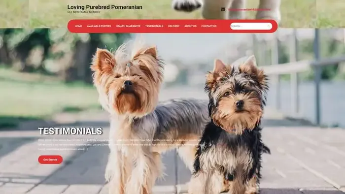 Screenshot of