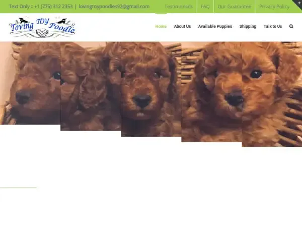Screenshot of