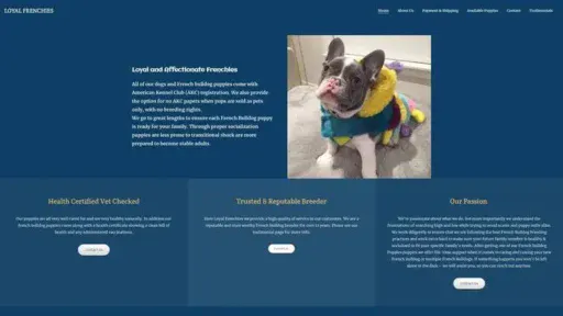 Screenshot of