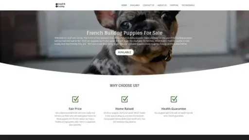 Screenshot of