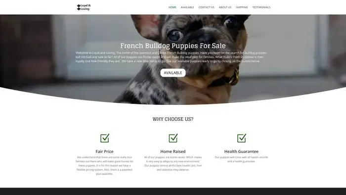 Screenshot of