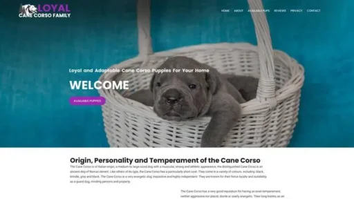 Screenshot of