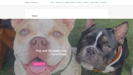 Screenshot of