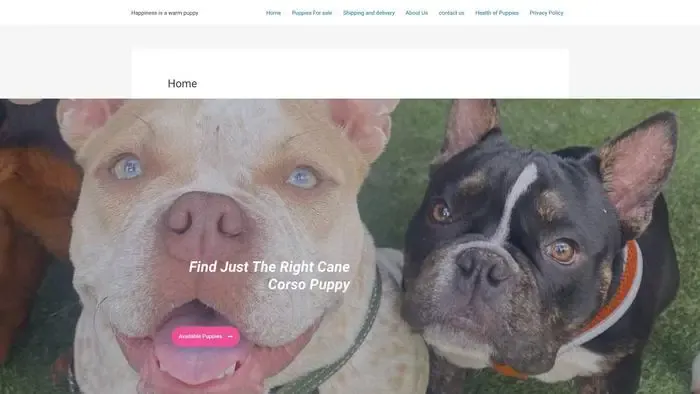 Screenshot of