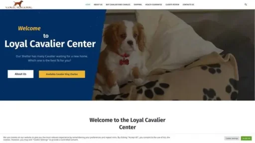 Screenshot of