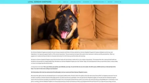 Screenshot of