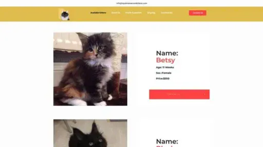 Screenshot of