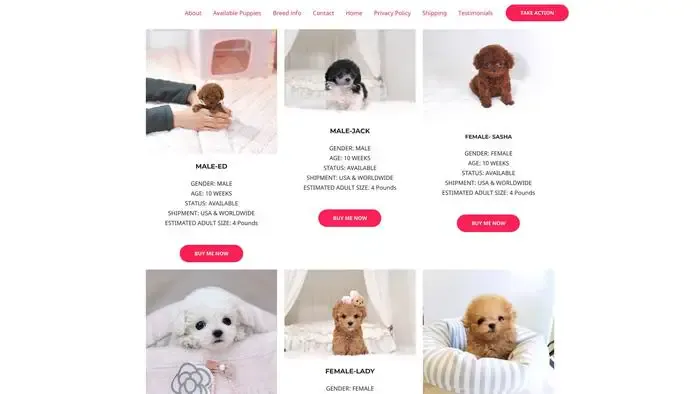 Screenshot of
