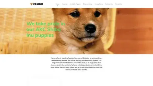 Screenshot of