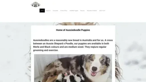 Screenshot of