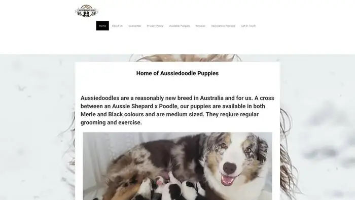 Screenshot of