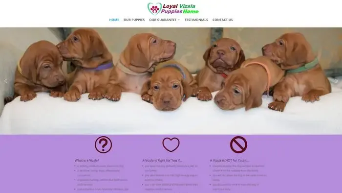 Screenshot of