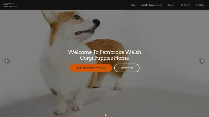 Screenshot of