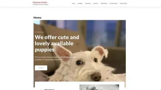 Screenshot of