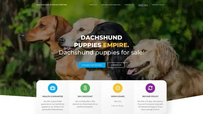 Screenshot of