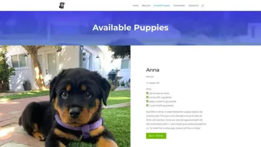 Screenshot of