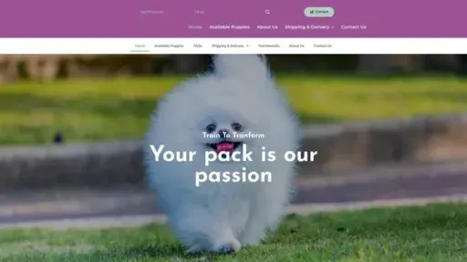 Screenshot of