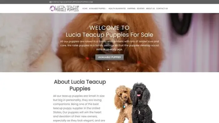 Screenshot of