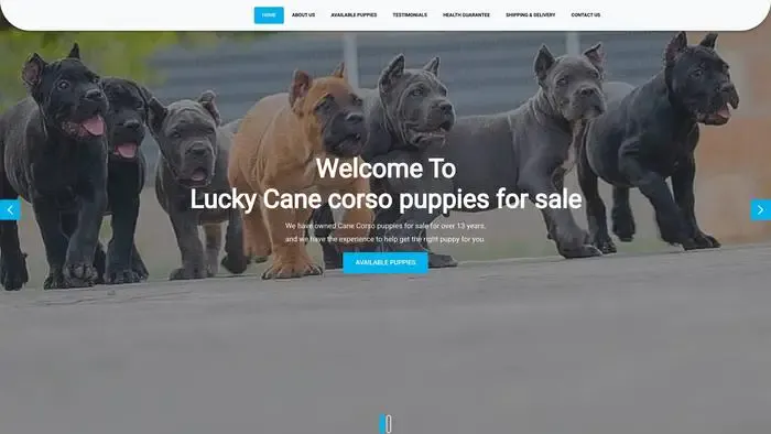 Screenshot of