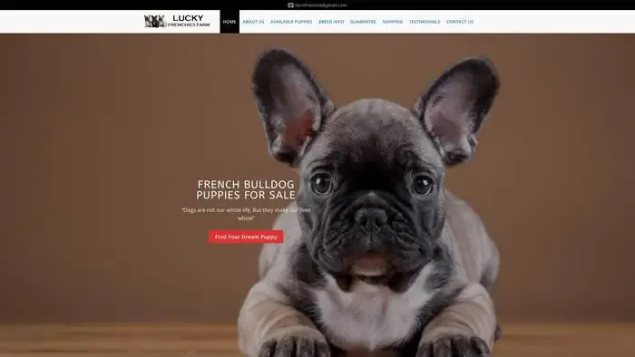 Screenshot of