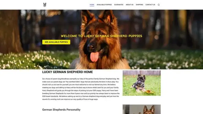 Screenshot of