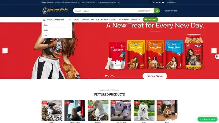 Screenshot of
