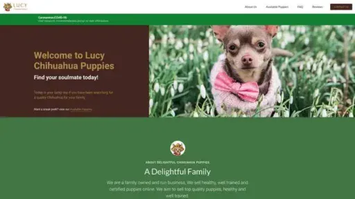 Screenshot of