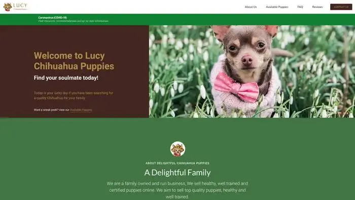 Screenshot of