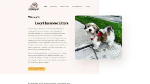 Screenshot of