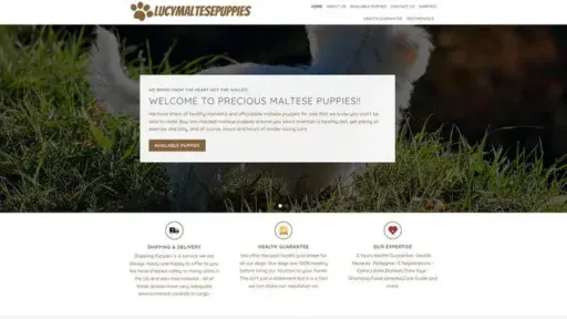 Screenshot of
