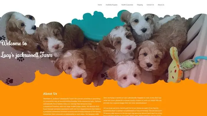 Screenshot of