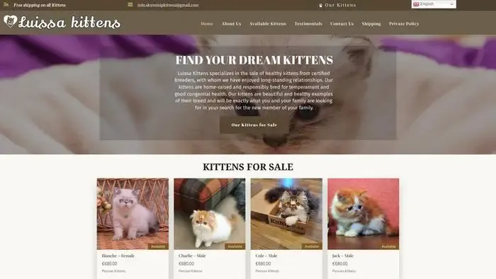 Screenshot of