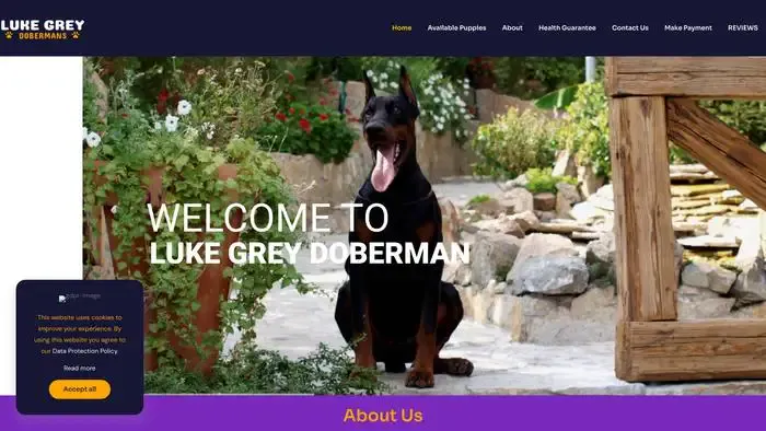 Screenshot of