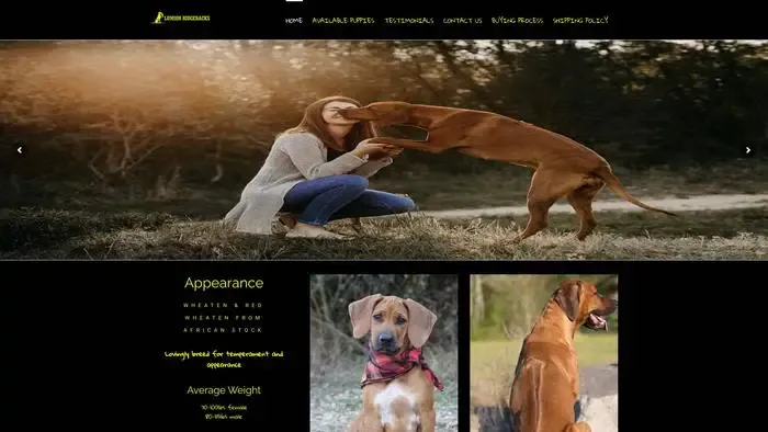 Screenshot of