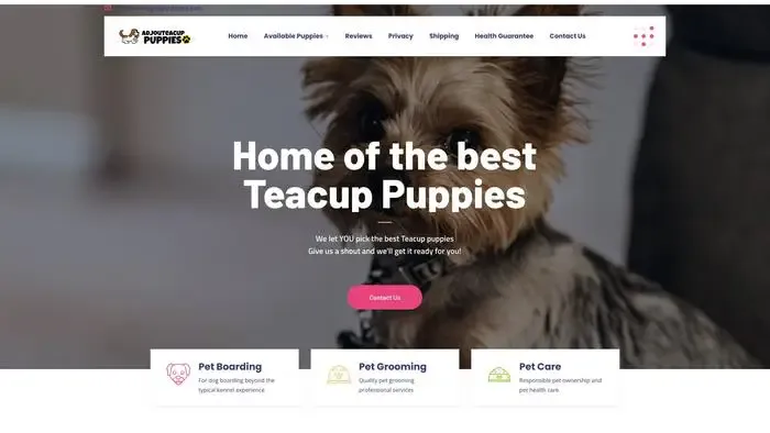 Screenshot of