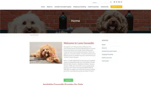 Screenshot of