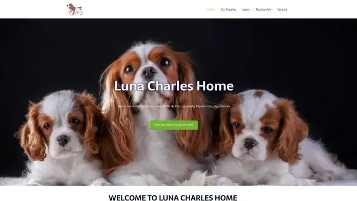 Screenshot of